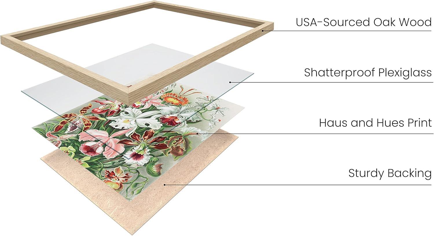 imageHAUS AND HUES Ernst Haeckel Poster  Vintage Botanical Print Flower ampamp Plant Wall Art Cottagecore Decor Haeckel Art Print Black Frame 12x16Flower