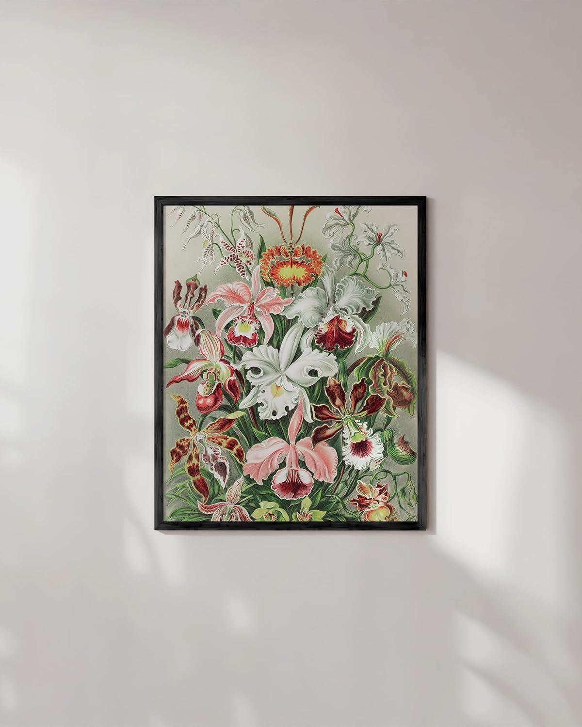 imageHAUS AND HUES Ernst Haeckel Poster  Vintage Botanical Print Flower ampamp Plant Wall Art Cottagecore Decor Haeckel Art Print Black Frame 12x16Flower