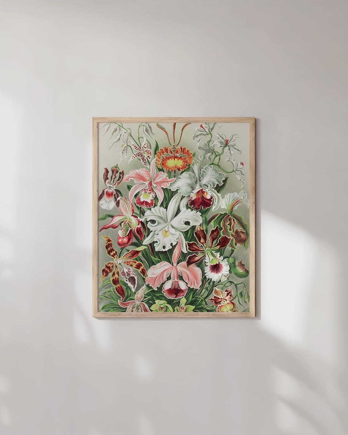 imageHAUS AND HUES Ernst Haeckel Poster  Vintage Botanical Print Flower ampamp Plant Wall Art Cottagecore Decor Haeckel Art Print Black Frame 12x16Flower