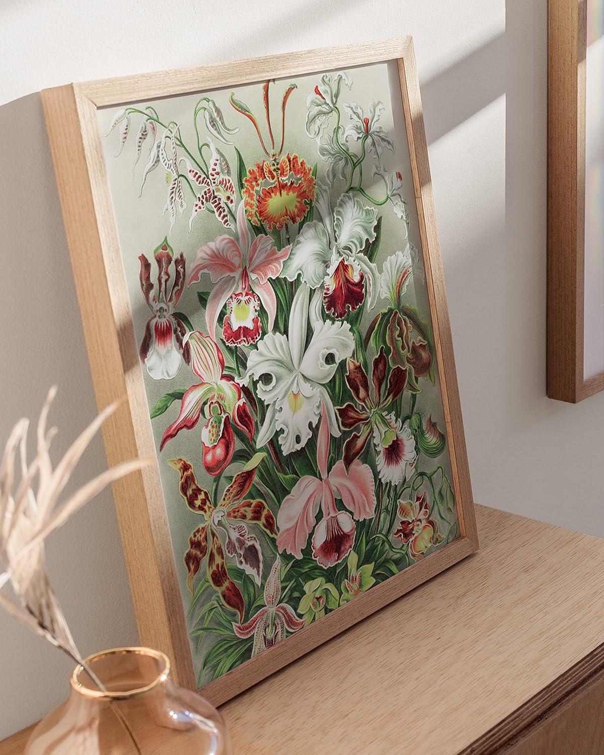 imageHAUS AND HUES Ernst Haeckel Poster  Vintage Botanical Print Flower ampamp Plant Wall Art Cottagecore Decor Haeckel Art Print Black Frame 12x16Flower