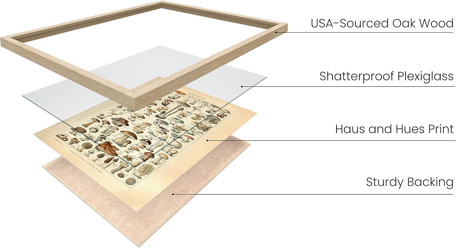 imageHAUS AND HUES Ernst Haeckel Poster  Vintage Botanical Print Flower ampamp Plant Wall Art Cottagecore Decor Haeckel Art Print Black Frame 12x16Mushrooms w Text