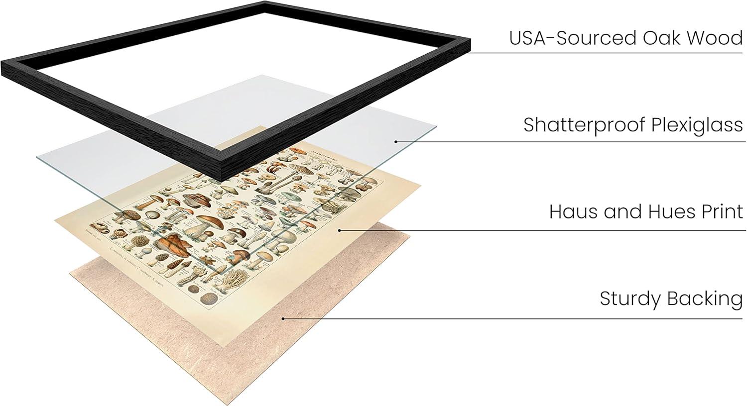 imageHAUS AND HUES Ernst Haeckel Poster  Vintage Botanical Print Flower ampamp Plant Wall Art Cottagecore Decor Haeckel Art Print Black Frame 12x16Mushrooms w Text