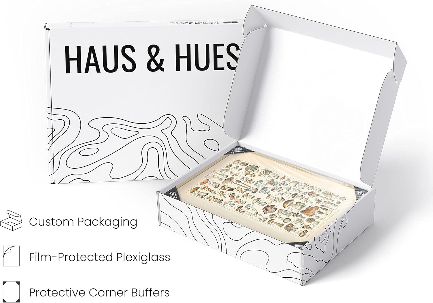 imageHAUS AND HUES Ernst Haeckel Poster  Vintage Botanical Print Flower ampamp Plant Wall Art Cottagecore Decor Haeckel Art Print Black Frame 12x16Mushrooms w Text