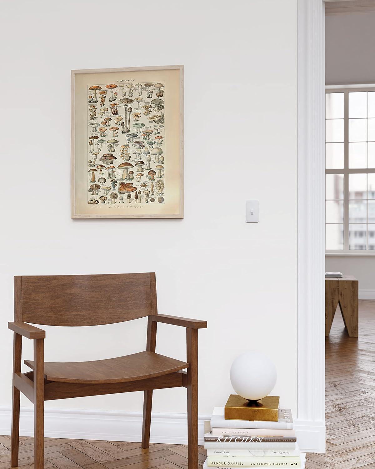 imageHAUS AND HUES Ernst Haeckel Poster  Vintage Botanical Print Flower ampamp Plant Wall Art Cottagecore Decor Haeckel Art Print Black Frame 12x16Mushrooms w Text