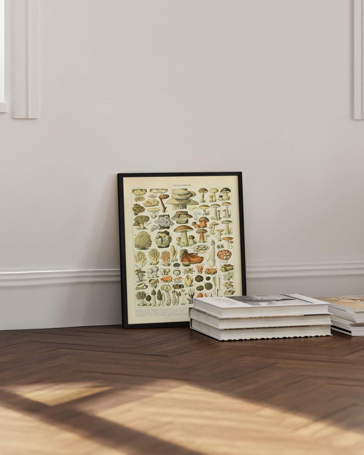 imageHAUS AND HUES Ernst Haeckel Poster  Vintage Botanical Print Flower ampamp Plant Wall Art Cottagecore Decor Haeckel Art Print Black Frame 12x16Mushrooms