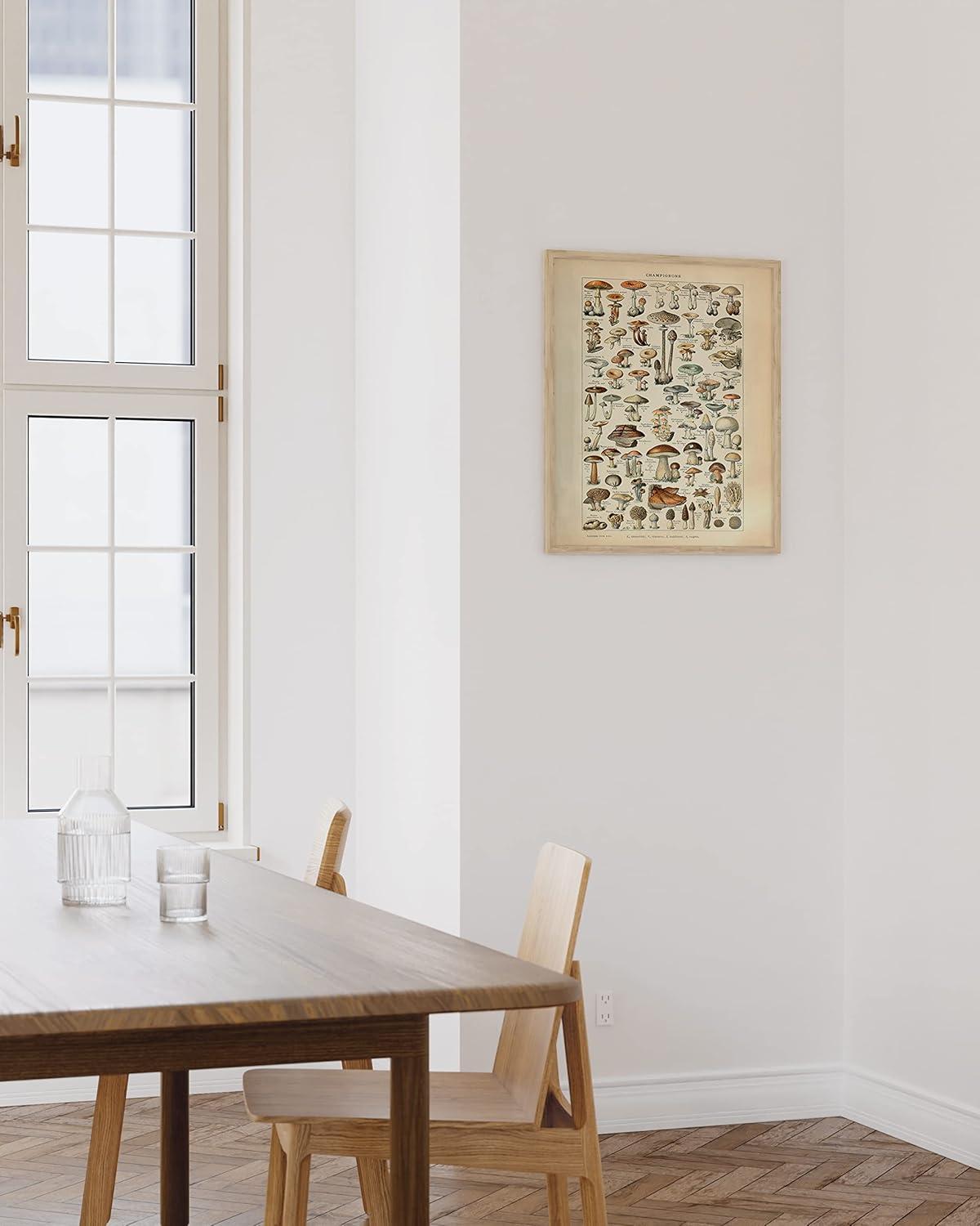 imageHAUS AND HUES Ernst Haeckel Poster  Vintage Botanical Print Flower ampamp Plant Wall Art Cottagecore Decor Haeckel Art Print Black Frame 12x16Mushrooms w Text