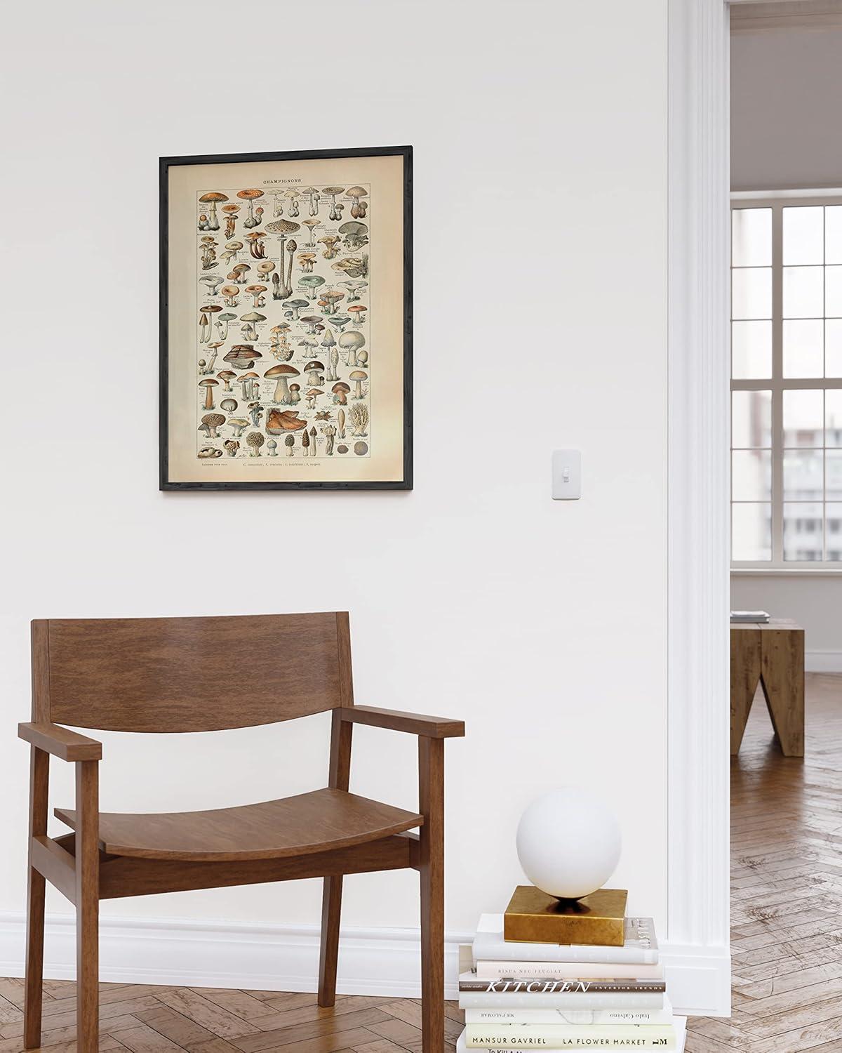 imageHAUS AND HUES Ernst Haeckel Poster  Vintage Botanical Print Flower ampamp Plant Wall Art Cottagecore Decor Haeckel Art Print Black Frame 12x16Mushrooms w Text