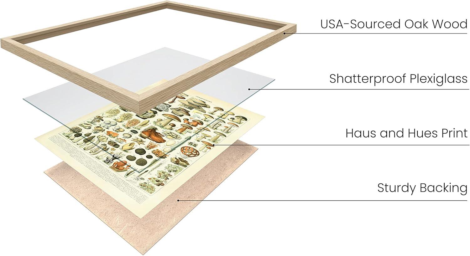 imageHAUS AND HUES Ernst Haeckel Poster  Vintage Botanical Print Flower ampamp Plant Wall Art Cottagecore Decor Haeckel Art Print Black Frame 12x16Mushrooms