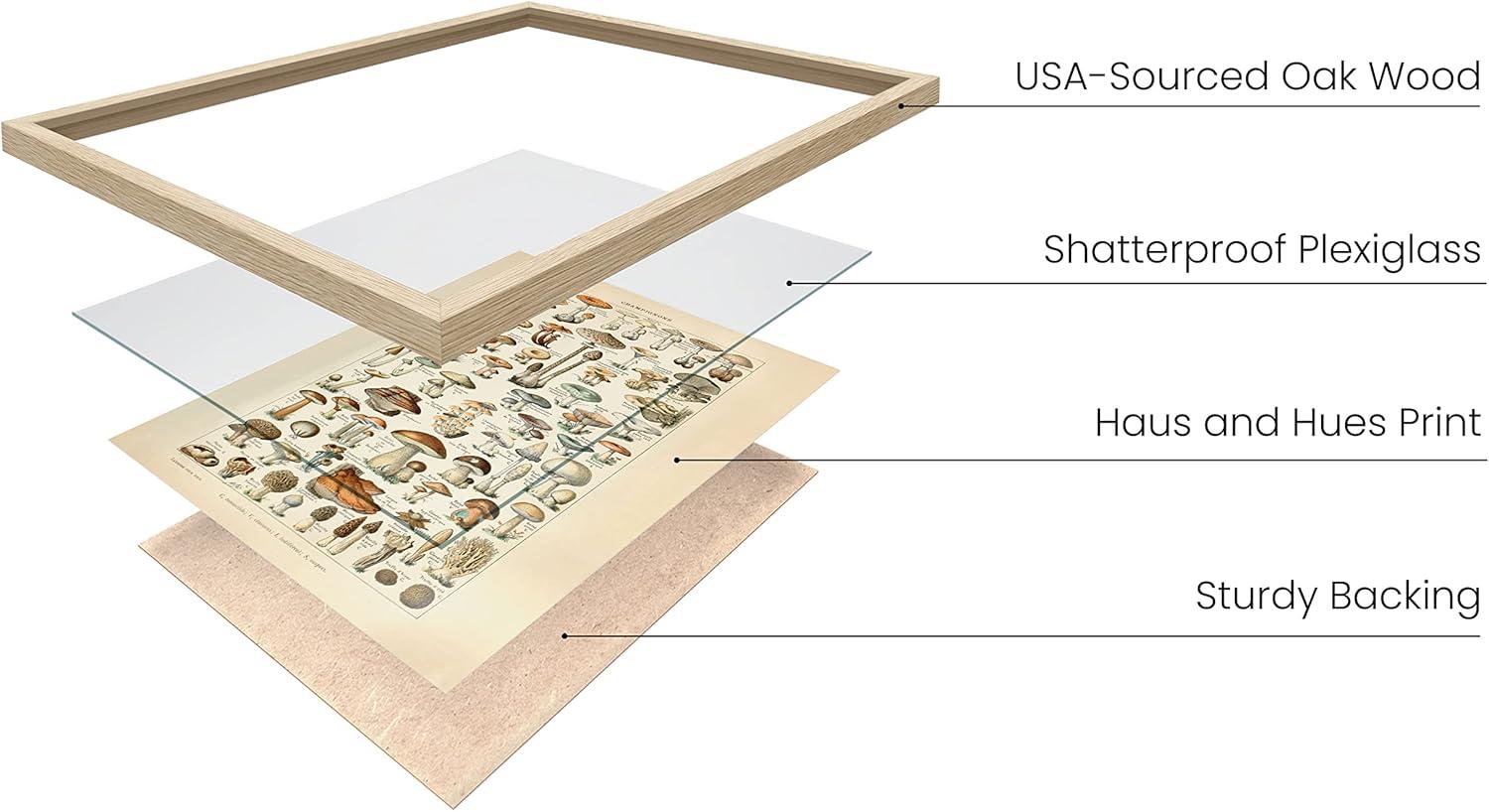 imageHAUS AND HUES Ernst Haeckel Poster  Vintage Botanical Print Flower ampamp Plant Wall Art Cottagecore Decor Haeckel Art Print Black Frame 12x16Mushrooms w Text