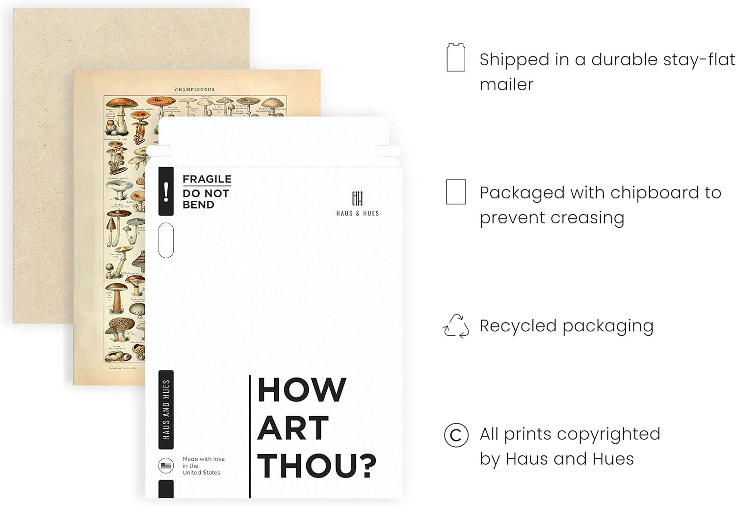 imageHAUS AND HUES Ernst Haeckel Poster  Vintage Botanical Print Flower ampamp Plant Wall Art Cottagecore Decor Haeckel Art Print Black Frame 12x16Mushrooms w Text