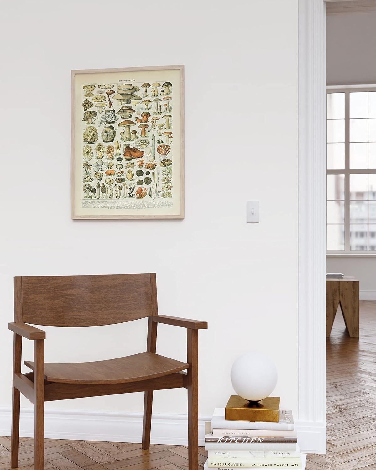 imageHAUS AND HUES Ernst Haeckel Poster  Vintage Botanical Print Flower ampamp Plant Wall Art Cottagecore Decor Haeckel Art Print Black Frame 12x16Mushrooms