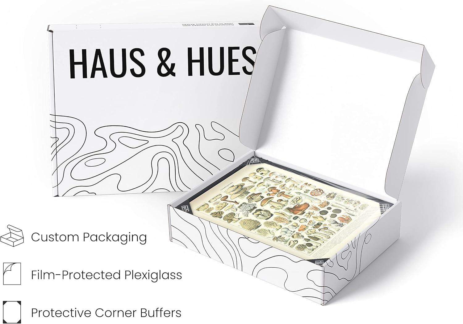 imageHAUS AND HUES Ernst Haeckel Poster  Vintage Botanical Print Flower ampamp Plant Wall Art Cottagecore Decor Haeckel Art Print Black Frame 12x16Mushrooms