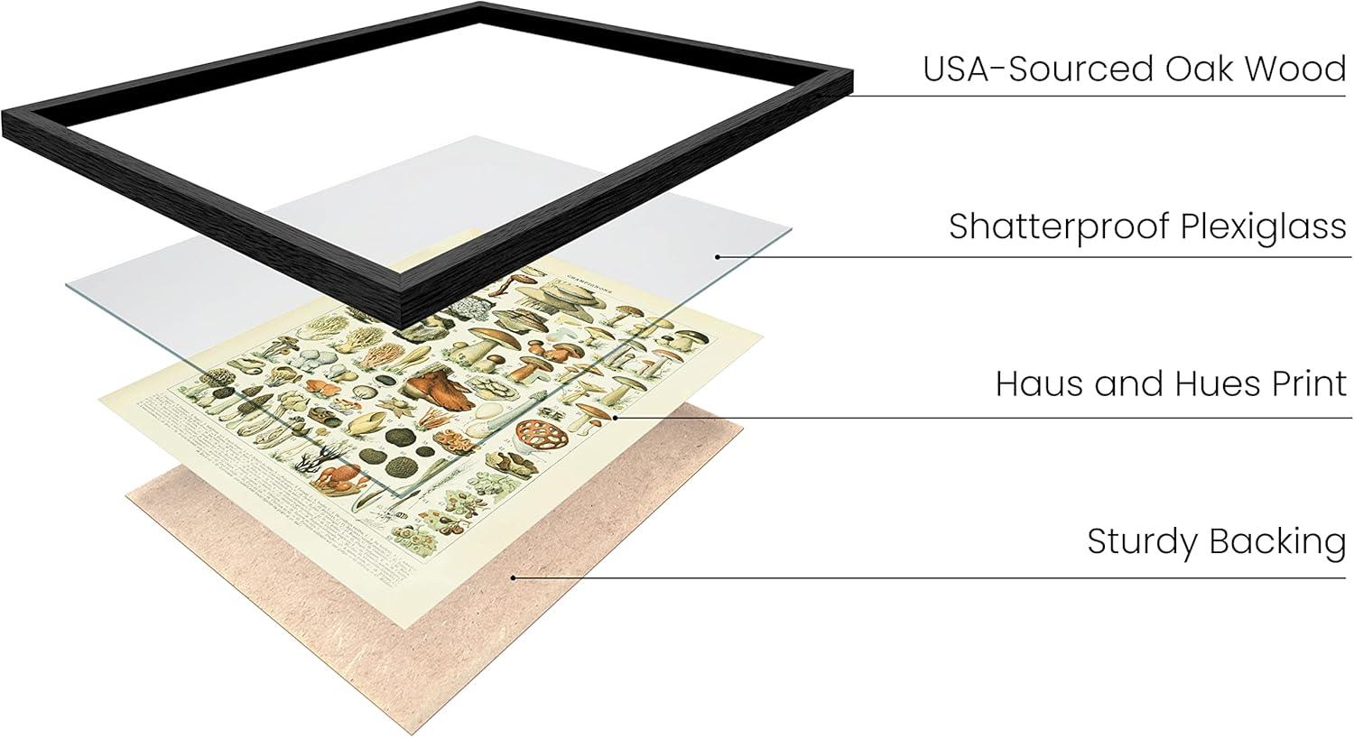 imageHAUS AND HUES Ernst Haeckel Poster  Vintage Botanical Print Flower ampamp Plant Wall Art Cottagecore Decor Haeckel Art Print Black Frame 12x16Mushrooms