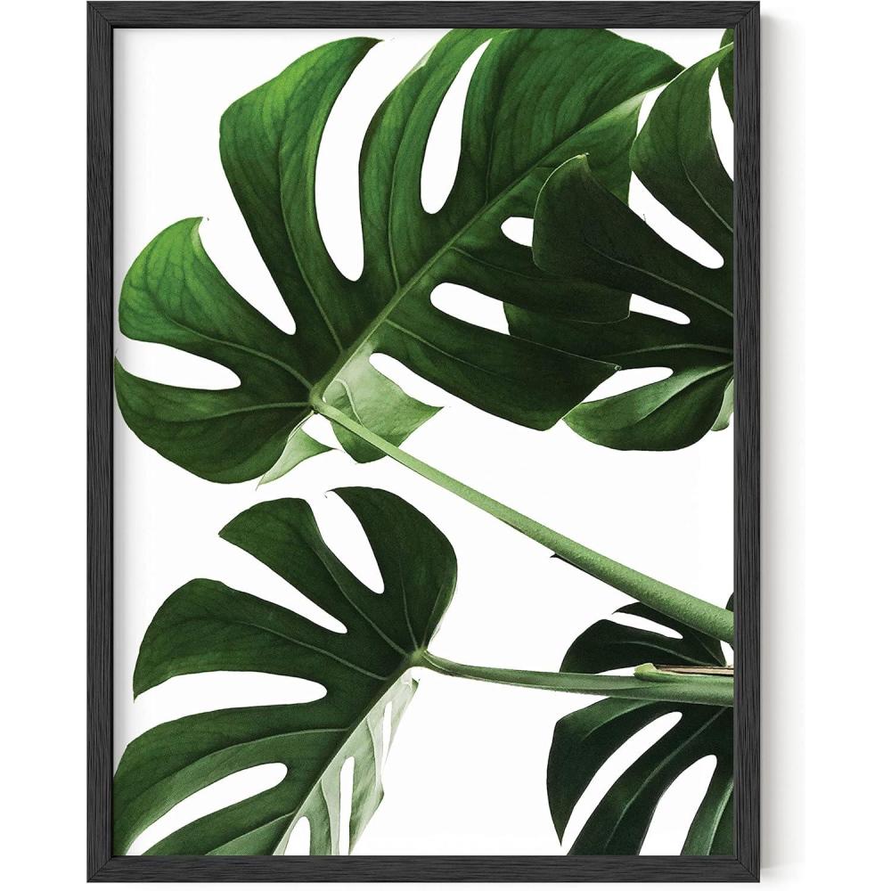 imageHAUS AND HUES Botanical Wall Art  Succulent and Cactus Prints Flower Pot Artwork for Home or Office Decor Beige Frame 16x20Monstera