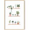 imageHAUS AND HUES Botanical Wall Art  Succulent and Cactus Prints Flower Pot Artwork for Home or Office Decor Beige Frame 16x20Pots on Shelves
