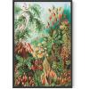 imageHAUS AND HUES Ernst Haeckel Poster  Vintage Botanical Print Flower ampamp Plant Wall Art Cottagecore Decor Haeckel Art Print Black Frame 12x16Bush