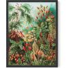 imageHAUS AND HUES Ernst Haeckel Poster  Vintage Botanical Print Flower ampamp Plant Wall Art Cottagecore Decor Haeckel Art Print Black Frame 12x16Bush