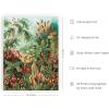 imageHAUS AND HUES Ernst Haeckel Poster  Vintage Botanical Print Flower ampamp Plant Wall Art Cottagecore Decor Haeckel Art Print Black Frame 12x16Bush