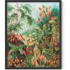 imageHAUS AND HUES Ernst Haeckel Poster  Vintage Botanical Print Flower ampamp Plant Wall Art Cottagecore Decor Haeckel Art Print Black Frame 12x16Bush