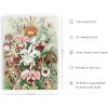imageHAUS AND HUES Ernst Haeckel Poster  Vintage Botanical Print Flower ampamp Plant Wall Art Cottagecore Decor Haeckel Art Print Black Frame 12x16Flower