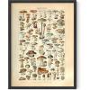 imageHAUS AND HUES Ernst Haeckel Poster  Vintage Botanical Print Flower ampamp Plant Wall Art Cottagecore Decor Haeckel Art Print Black Frame 12x16Mushrooms w Text