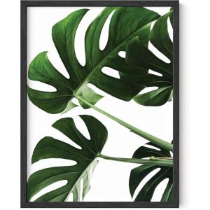 imageHAUS AND HUES Sunflower Wall Art  Yellow Floral Poster Aesthetic Wall Picture for Bedroom or Bathroom Unframed 16x20Monstera