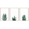 imageHAUS AND HUES Abstract Art Wall Decor  Set of 3 Abstract Wall Art for Living Room Blue Posters Geometric Wall Art Abstract Room Posters Aesthetic Colorful Wall Art Black Frame 24x36Succulent Plants