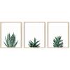 imageHAUS AND HUES Abstract Art Wall Decor  Set of 3 Abstract Wall Art for Living Room Blue Posters Geometric Wall Art Abstract Room Posters Aesthetic Colorful Wall Art Black Frame 24x36Succulent Plants