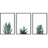 imageHAUS AND HUES Abstract Art Wall Decor  Set of 3 Abstract Wall Art for Living Room Blue Posters Geometric Wall Art Abstract Room Posters Aesthetic Colorful Wall Art Black Frame 24x36Succulent Plants