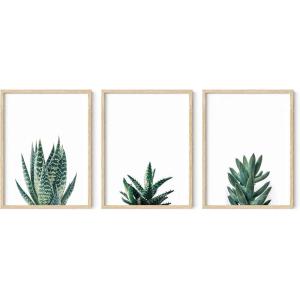 imageHAUS AND HUES Abstract Art Wall Decor  Set of 3 Abstract Wall Art for Living Room Blue Posters Geometric Wall Art Abstract Room Posters Aesthetic Colorful Wall Art Black Frame 24x36Succulent Plants