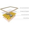 image:imageHAUS AND HUES Chakra Poster  Spiritual Wall Art Zen Decor Meditation Poster 7 Chakras Chart Black Frame 16x20Groovy Rays