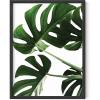 image:imageHAUS AND HUES Botanical Wall Art  Cactus and Succulent Prints Flower Pot Artwork for Modern Home Decor Black Frame 24x36Monstera