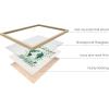 image:imageHAUS AND HUES Planet  16x20 Framed Beige