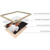image:imageHAUS AND HUES Cool Posters for Guys Bedroom  Meme Posters for Boys Room Funny Wall Decor Albert Einstein Wall Art Unframed 16x20Mlk